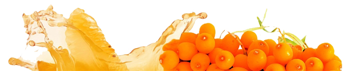 Herbs of Life - Seabuckthorn